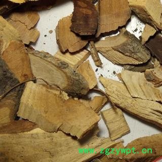 吉康药业中药一叶萩 根 一叶秋地下部分小粒蒿 一叶秋根 老鼠牙 马扫帚图2