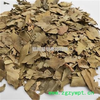 橘叶@【华美中药】中药材批发供应【橘叶】橘叶图4