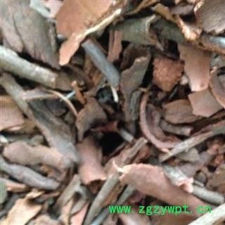 吉康药业地枫皮  高山龙 追地风 钻地风 地风图2