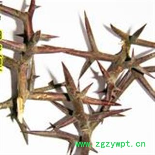 吉康药业中药材皂刺 皂角刺 东北新货图2