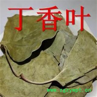 丁香叶 紫丁香叶 正品保证质量7天无理由退货退款 安品堂图3