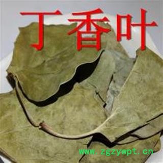 丁香叶 紫丁香叶 正品保证质量7天无理由退货退款 安品堂图4