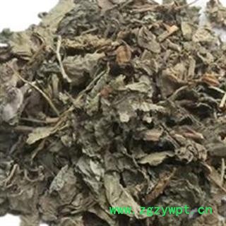 臭梧桐叶 追骨风 正品保证质量7天无理由退货退款 安品堂图3