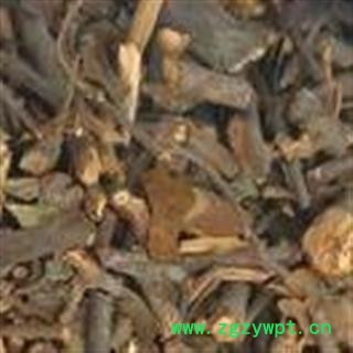 枫香寄生 枫寄生正品保证质量7天无理由退货退款 安品堂图3