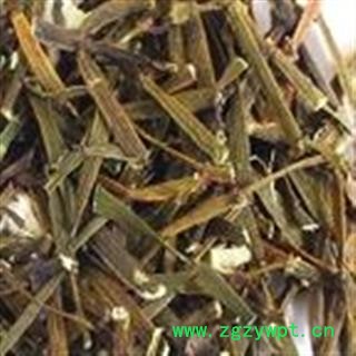 枫香寄生 枫寄生正品保证质量7天无理由退货退款 安品堂图4