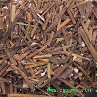 枫香寄生 枫寄生正品保证质量7天无理由退货退款 安品堂图2