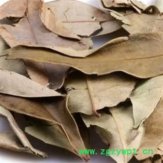 金叶子 正品保证质量7天无理由退货退款 安品堂图3