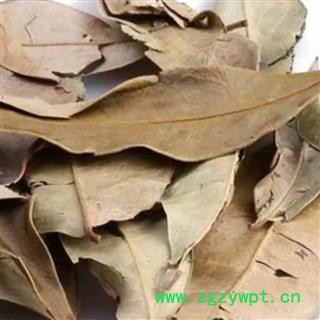 金叶子 正品保证质量7天无理由退货退款 安品堂图2