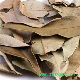 金叶子 正品保证质量7天无理由退货退款 安品堂图4