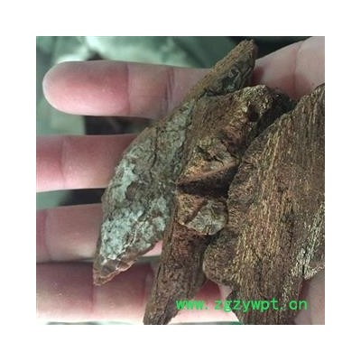 新辉药业野生中药材地枫皮 钻地风