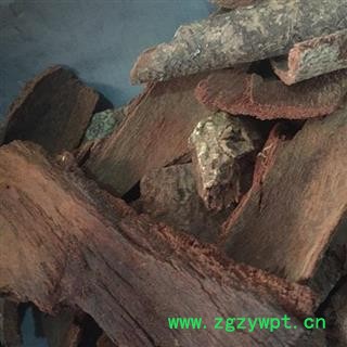 新辉药业野生中药材地枫皮 钻地风图2