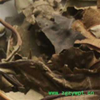 喜树叶 正品保证质量7天无理由退货退款 安品堂图4