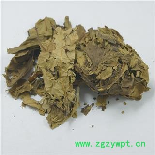 喜树叶 正品保证质量7天无理由退货退款 安品堂图2