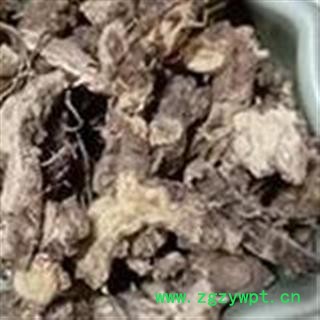 仙灵脾 仙灵脾 精品仙灵脾根 淫羊藿根部  产地 吉林省图2