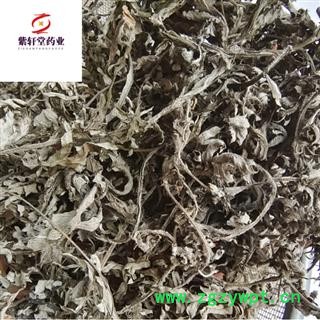 艾叶 小艾叶 野生小艾叶 产地山东省实物拍摄 药味浓图3