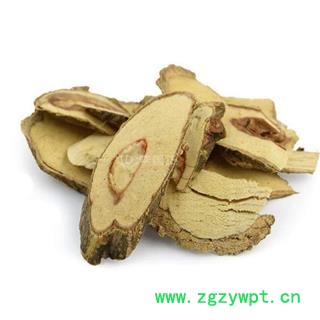 南蛇藤 黄果藤 过山枫 过山龙 正品保证质量7天无理由退货退款 华安堂图3