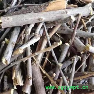 水柏枝 砂柳 正品保证质量7天无理由退货退款 华安堂图4