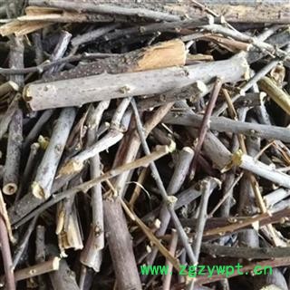 水柏枝 砂柳 正品保证质量7天无理由退货退款 华安堂图2