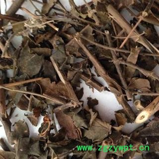 扭肚藤 白花茶 青藤仔花 猪肚勒 正品保证质量7天无理由退货退款 华安堂图2