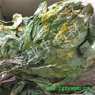 【包邮】人参叶 选货 吉林产【良心经营 品种齐全】图2