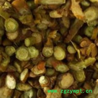寄生 选装寄生  无叶圆片 产地 吉林省图3