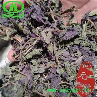 世元药业 紫苏叶丝 正品 别称-赤苏 皱苏 尖苏 香苏叶 鸡冠紫苏 子苏【全品除尘中药】图2