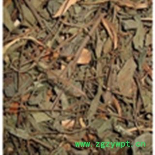 中药材漆大姑、毛漆、毛七哥毛七公大毛七 大戟科毛果算盘子枝叶图2