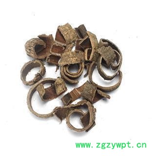 杜仲 杜仲丝 产地加工 产地 山西省图2