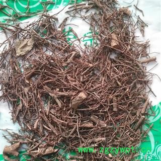 新辉药业正品实拍榕树须  吊风根新货无硫图3