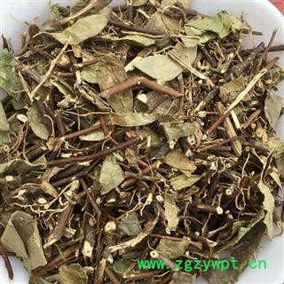 圣草康园络石藤 络石屯 白花藤 络石草 中药材图2