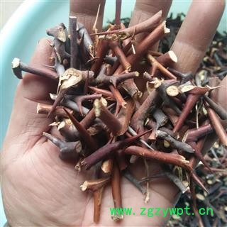 野生皂角刺 统 产地 河南省平顶山市汝州市图2