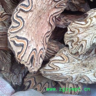 吉康药业 龙骨风 飞天蠄蟧 大贯众图2