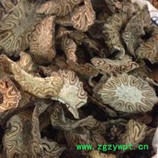 吉康药业 龙骨风 飞天蠄蟧 大贯众图3