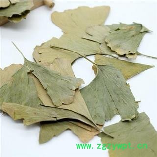 银杏叶 统货 产地 江苏 华美中药 产地直销 重在品质图4