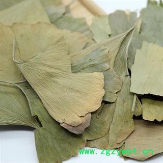 银杏叶 统货 产地 江苏 华美中药 产地直销 重在品质图3