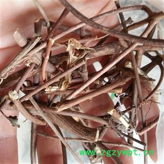 吉康药业扭肚藤 猪肚勒 白花茶 青藤仔花图2