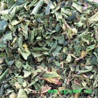 新辉药业中药材金银花 金银花叶图2