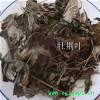 牡荆叶 正品保证质量7天无理由退货退款 安品堂图3