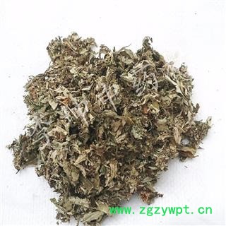 艾叶正品保证质量 中药材批发 丽丽药业图2