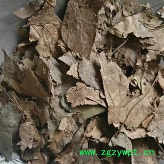 黑面将军  马来西亚化石草 正品保证质量 安品堂图3