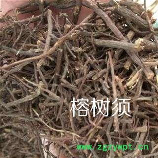 榕树须 榕须 半天吊 榕根须 吊风根 老公须 乌松 榕树吊须 榕树倒抛根  倒生木 不死树图2