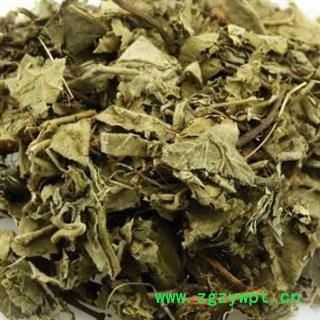 白背叶 正品保证质量7天无理由退货退款 安品堂图4