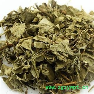 白背叶 正品保证质量7天无理由退货退款 安品堂图2