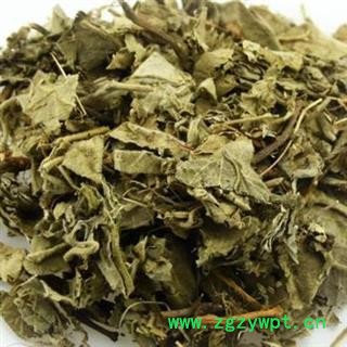 白背叶 正品保证质量7天无理由退货退款 安品堂图3