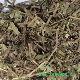 新辉药业无硫正品常春藤 上树蜈蚣图2