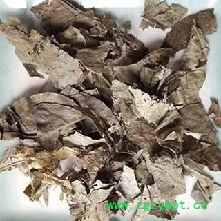 黄皮叶 正品保证质量7天无理由退货退款 安品堂图3