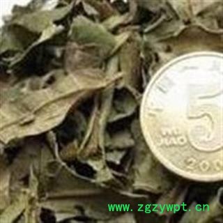 黄皮叶 正品保证质量7天无理由退货退款 安品堂图4