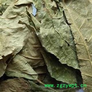 黄皮叶 正品保证质量7天无理由退货退款 安品堂图2