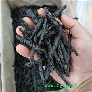 苦丁茶 正品保证质量7天无理由退货退款 安品堂图2