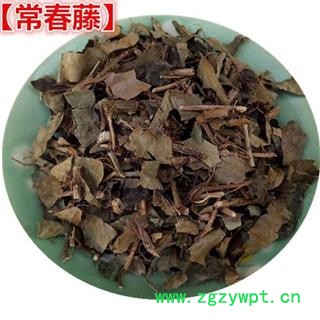 常春藤 枫荷梨藤 三角风 钻天风 散骨风 正品保证质量7天无理由退货退款 华安堂图2